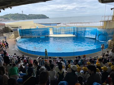新江ノ島水族館に投稿された画像（2023/6/1）