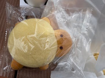 新江ノ島水族館に投稿された画像（2023/6/1）