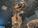 特別展「恐竜博2023」に投稿された画像（2023/5/28）
