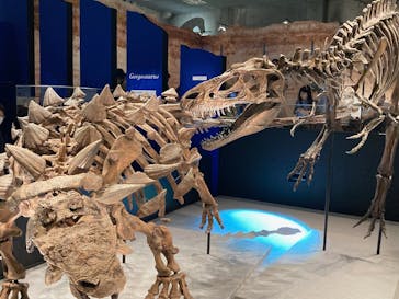 特別展「恐竜博2023」に投稿された画像（2023/5/28）