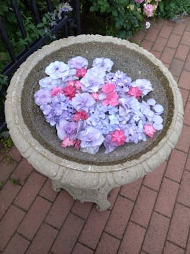 横浜イングリッシュガーデンに投稿された画像（2023/6/1）