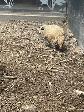 カワスイ 川崎⽔族館に投稿された画像（2023/6/1）