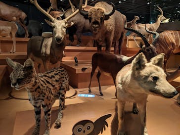 国立科学博物館に投稿された画像（2023/6/1）