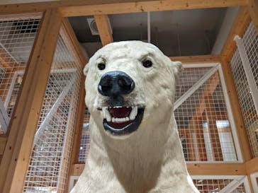 国立科学博物館に投稿された画像（2023/6/1）