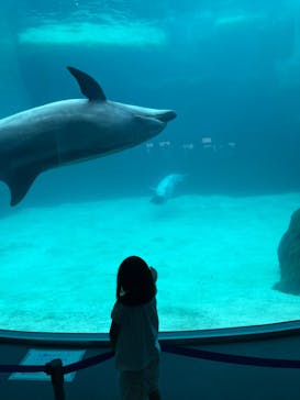 名古屋港水族館に投稿された画像（2023/6/1）