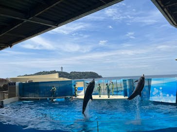 新江ノ島水族館に投稿された画像（2023/6/1）