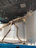 特別展「恐竜博2023」に投稿された画像（2023/6/2）