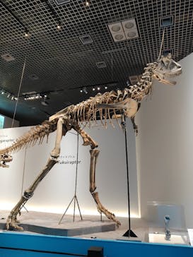 特別展「恐竜博2023」に投稿された画像（2023/6/1）