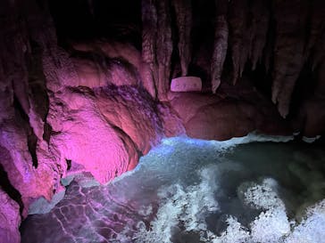 おきなわワールドに投稿された画像（2023/6/1）