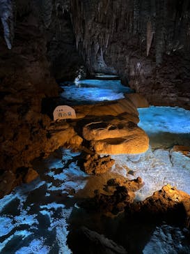 おきなわワールドに投稿された画像（2023/6/1）