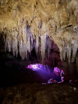 おきなわワールドに投稿された画像（2023/6/1）