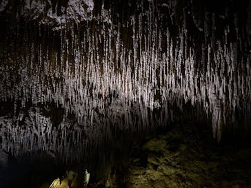 おきなわワールドに投稿された画像（2023/6/1）