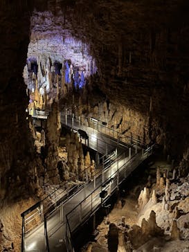 おきなわワールドに投稿された画像（2023/6/1）