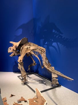 特別展「恐竜博2023」に投稿された画像（2023/6/2）