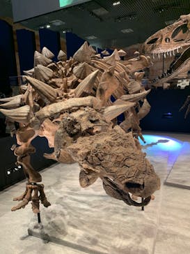特別展「恐竜博2023」に投稿された画像（2023/6/2）