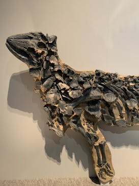 特別展「恐竜博2023」に投稿された画像（2023/6/2）