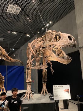 特別展「恐竜博2023」に投稿された画像（2023/6/2）