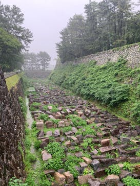 名古屋城に投稿された画像（2023/6/2）