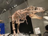 特別展「恐竜博2023」に投稿された画像（2023/6/2）