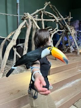 カワスイ 川崎⽔族館に投稿された画像（2023/6/2）