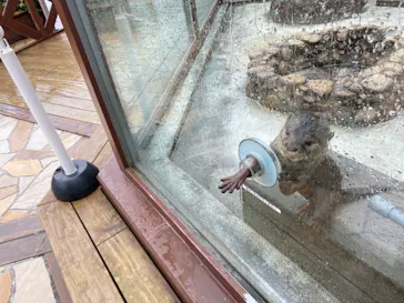 横浜・八景島シーパラダイスに投稿された画像（2023/6/2）