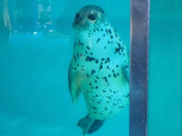下田海中水族館に投稿された画像（2023/6/2）