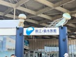 新江ノ島水族館に投稿された画像（2023/6/2）