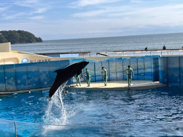 新江ノ島水族館に投稿された画像（2023/6/2）