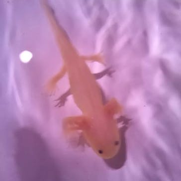 NARA IKIMONO MUSEUMに投稿された画像（2023/6/2）