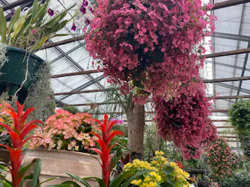 神戸どうぶつ王国に投稿された画像（2023/6/2）