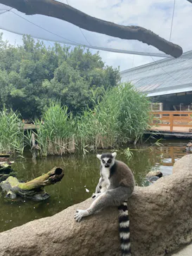 神戸どうぶつ王国に投稿された画像（2023/6/2）