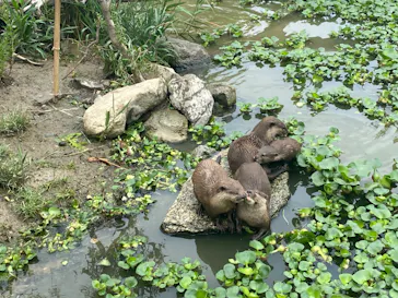 神戸どうぶつ王国に投稿された画像（2023/6/2）