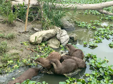 神戸どうぶつ王国に投稿された画像（2023/6/2）