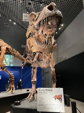 特別展「恐竜博2023」に投稿された画像（2023/6/3）