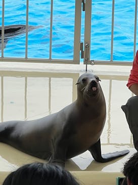 マリンワールド海の中道に投稿された画像（2023/6/3）