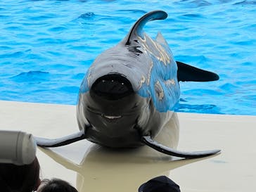 マリンワールド海の中道に投稿された画像（2023/6/3）