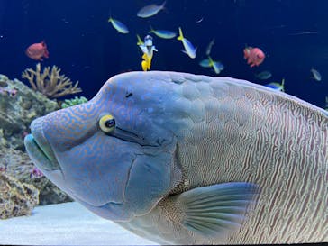 マリンワールド海の中道に投稿された画像（2023/6/3）