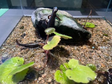 マリンワールド海の中道に投稿された画像（2023/6/3）