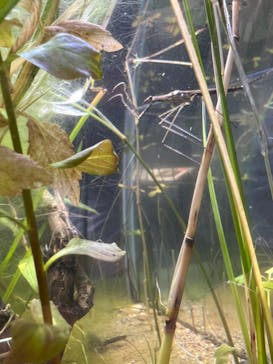 マリンワールド海の中道に投稿された画像（2023/6/3）