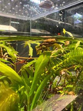 マリンワールド海の中道に投稿された画像（2023/6/3）