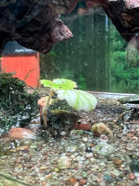 マリンワールド海の中道に投稿された画像（2023/6/3）