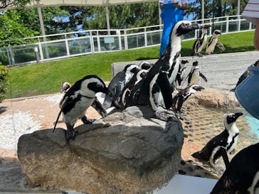 マリンワールド海の中道に投稿された画像（2023/6/3）