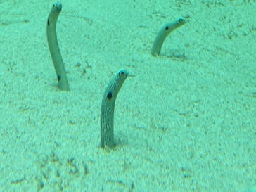 環境水族館アクアマリンふくしまに投稿された画像（2023/6/3）