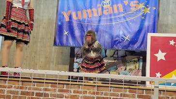 東北サファリパークに投稿された画像（2023/6/3）