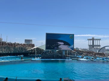 名古屋港水族館に投稿された画像（2023/6/3）
