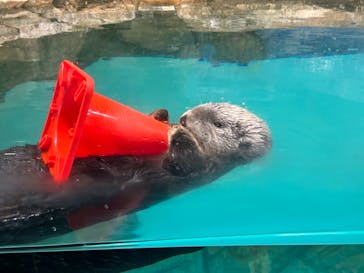 マリンワールド海の中道に投稿された画像（2023/6/3）