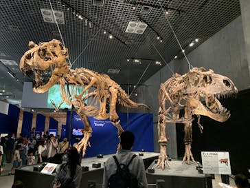 特別展「恐竜博2023」に投稿された画像（2023/6/3）
