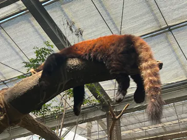 神戸どうぶつ王国に投稿された画像（2023/6/3）