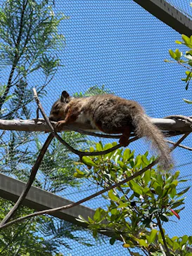 神戸どうぶつ王国に投稿された画像（2023/6/3）