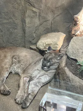 神戸どうぶつ王国に投稿された画像（2023/6/3）